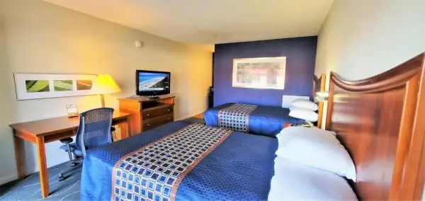 Economy 7 Inn- Newport News 10